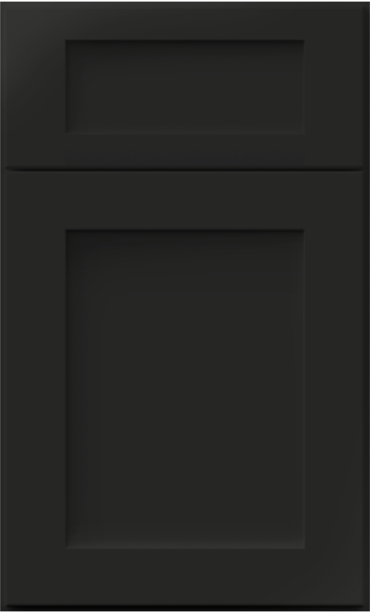 Shaker Style Cabinet Door in Tricorn Black